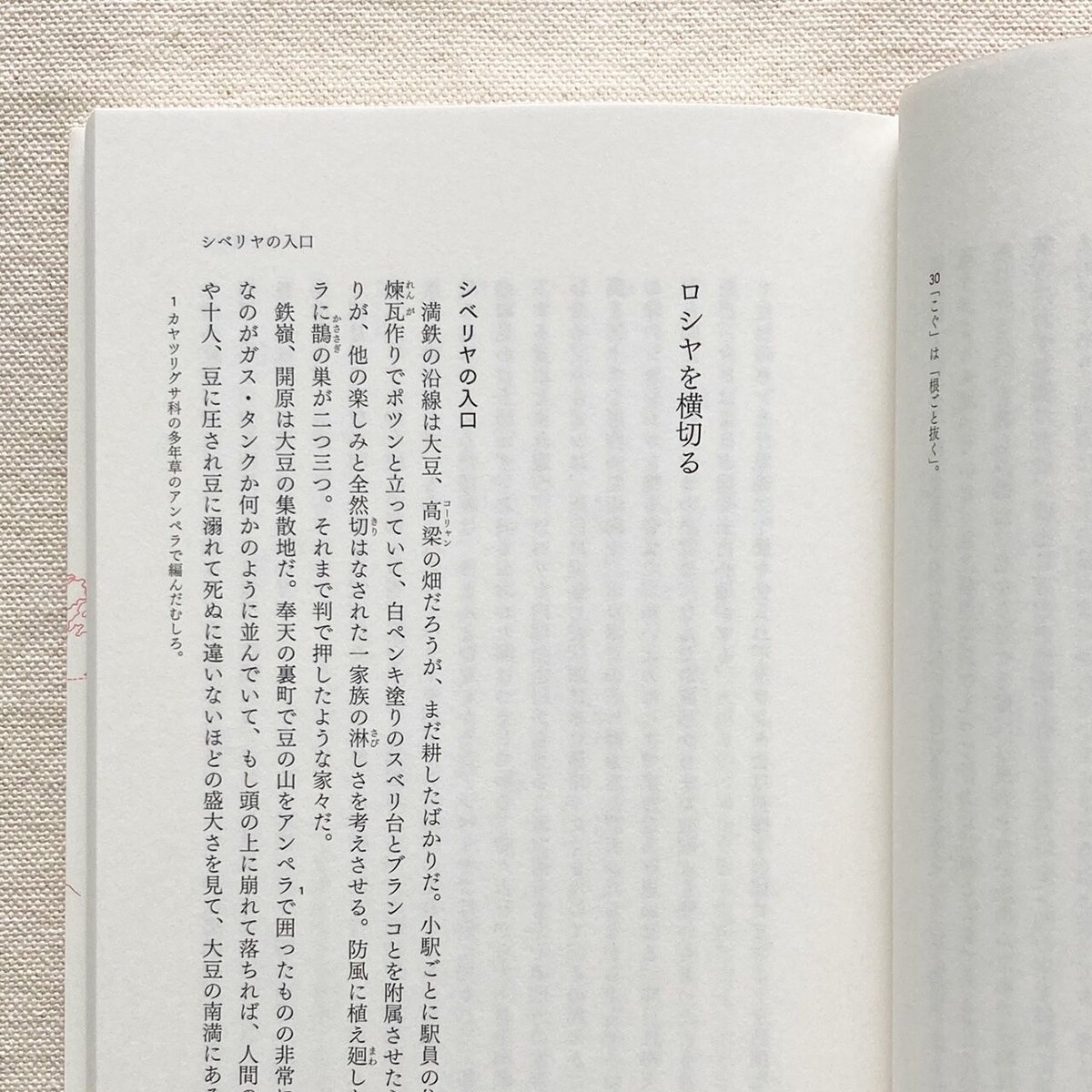 市河晴子紀行文集 欧米の隅々 | 曲線