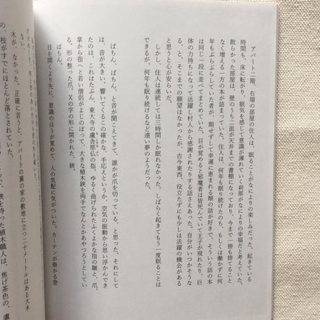 窓の観察