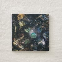 〈CD〉GREEN-HOUSE｜A Host For All Kinds of Life