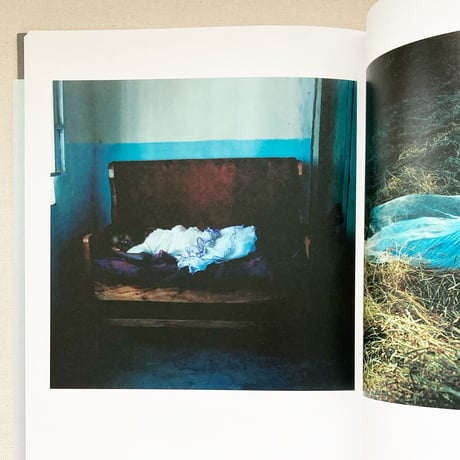 山元彩香 ｜We are Made of Grass, Soil, Trees, and Flowers