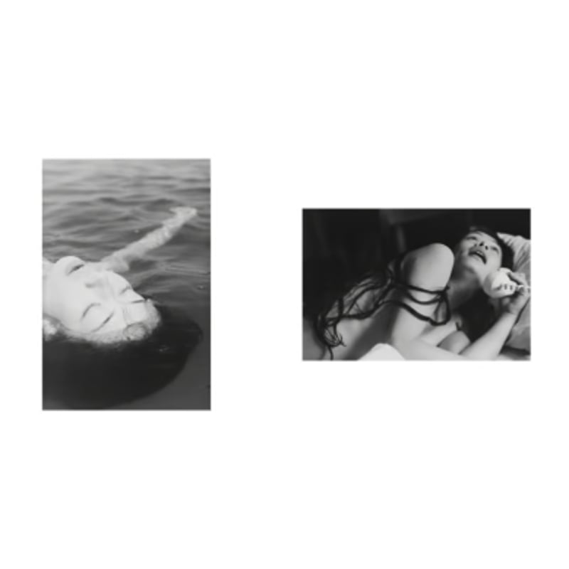 深瀬昌久｜洋子 | 曲線