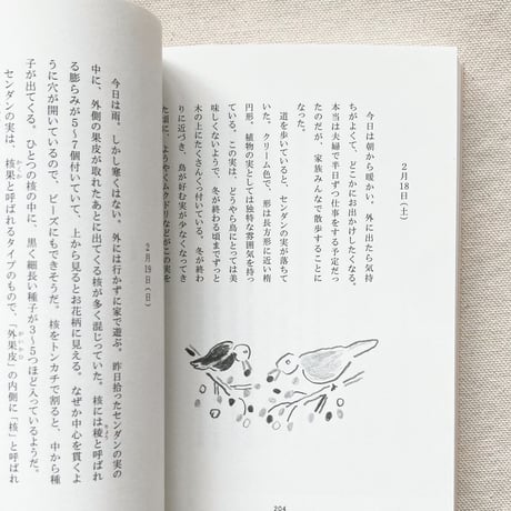 鈴木純｜冬の植物観察日記