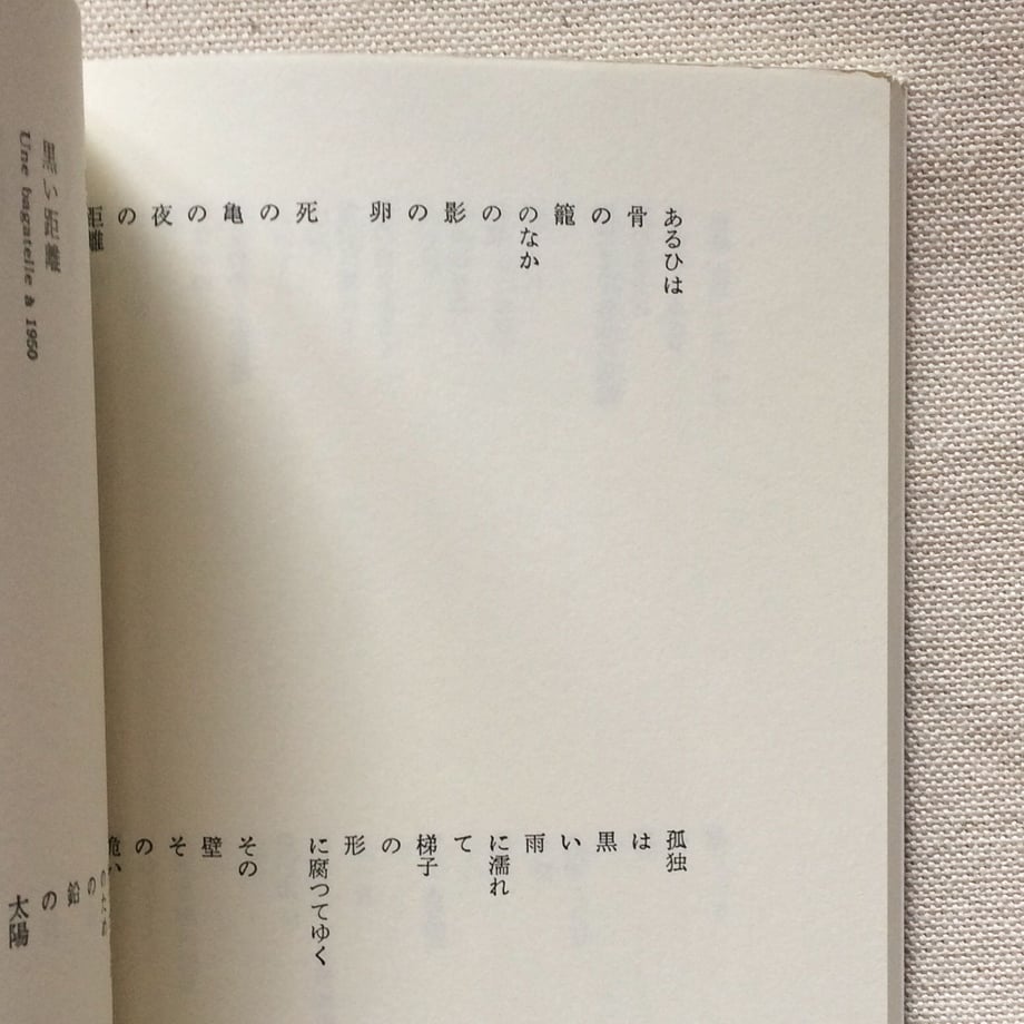 5dbe85d7745e6c5c7e81e3bc