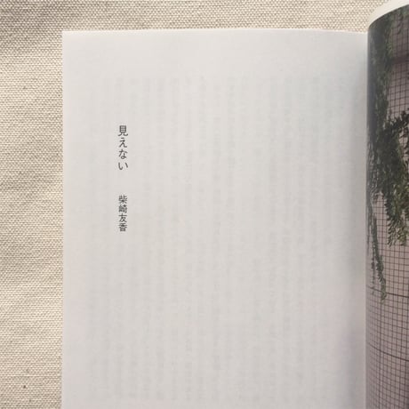窓の観察