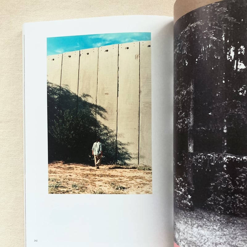 WOLFGANG TILLMANS｜THINGS MATTER, DINGE ZÄHLEN | 曲線