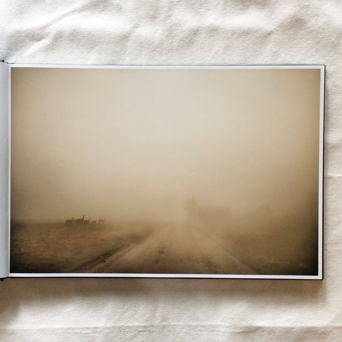 初版・サイン本 Todd Hido / Bright Black World Todd Hido Bright Black World /anglais: HIDO TODD