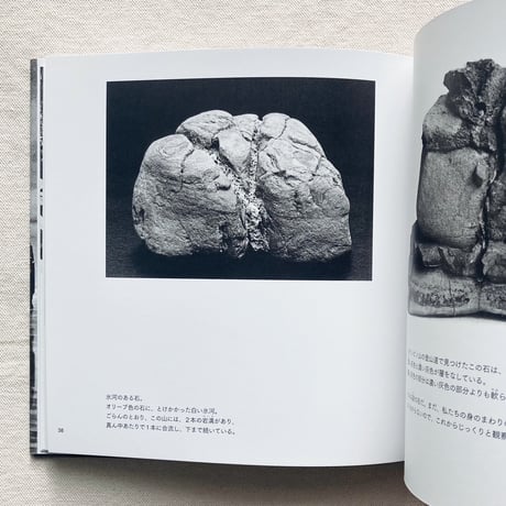ブルーノ・ムナーリ｜遠くから見たら島だった