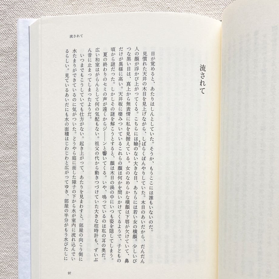 65323a2b3097d7036a44613b