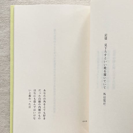 野村日魚子｜百年後　嵐のように恋がしたいとあなたは言い　実際嵐になった　すべてがこわれわたしたちはそれを見た