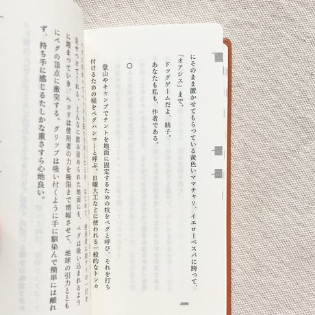 仲西森奈｜名付けたものどもを追う道筋を歩きながら、