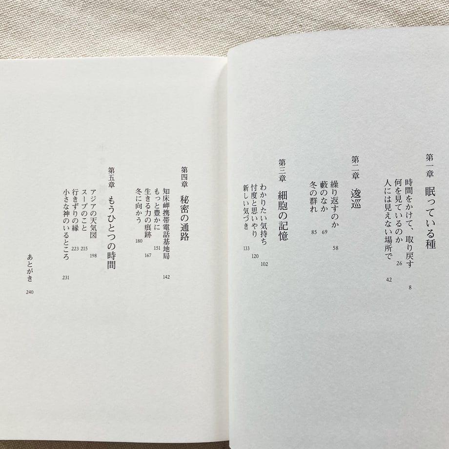 6906f8f16dd9a96079e3e53c