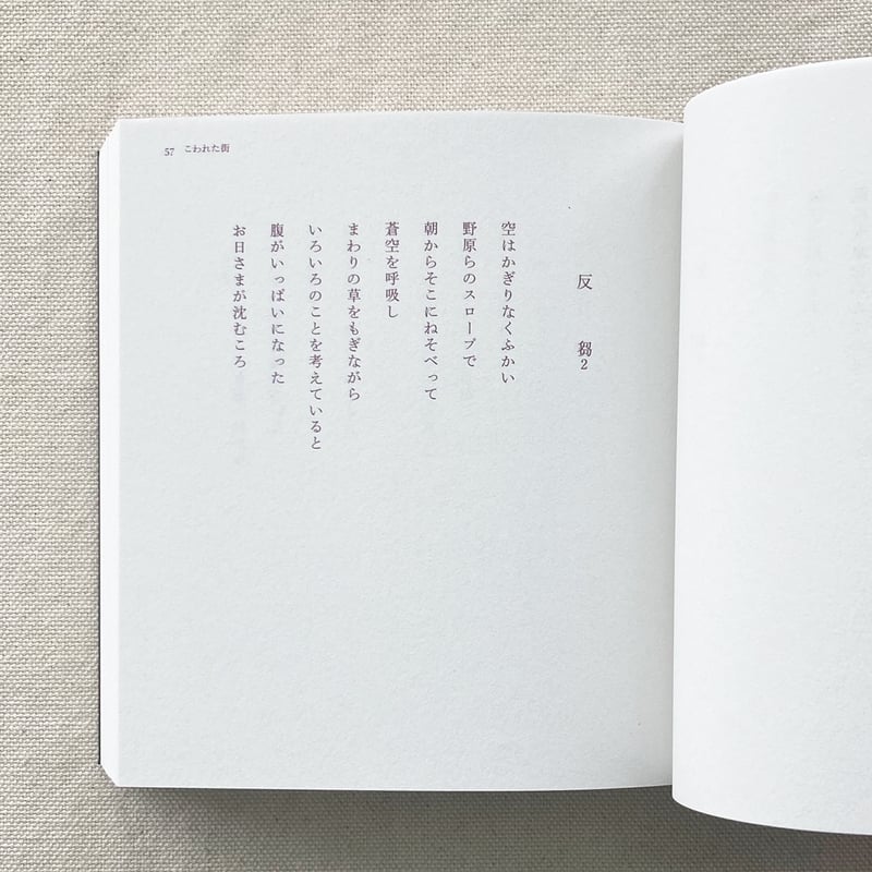 心いっぱい子ども詩集（全３巻）/汐文社/日本作文の会（単行本） 51Vh79I52yL._UF350,350_QL50_.jpg