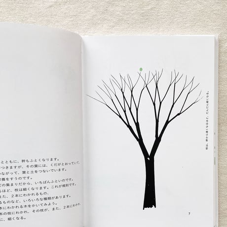 ブルーノ・ムナーリ｜木をかこう