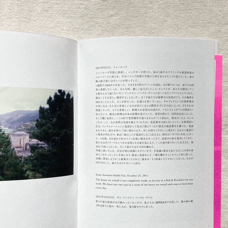 完売‼️ エレン・フライス　Elein Fleiss 作品集 編集者・Elein Fleiss (エレン・フライス) インタビュー