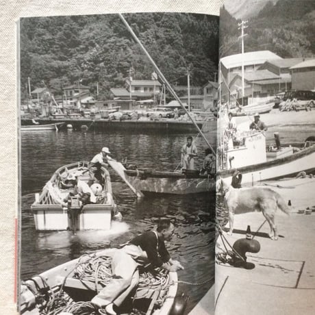 小岩勉｜女川海物語