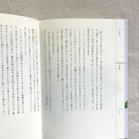 梨木香歩｜野山花花図譜