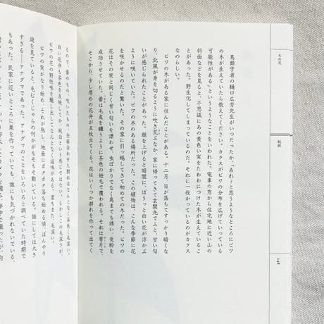 梨木香歩｜野山花花図譜