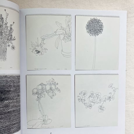RUTH ASAWA THROUGH LINE