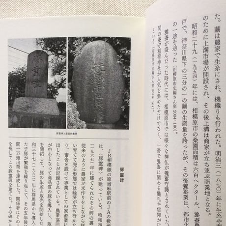奥野克己｜モノも石も死者も生きている世界の民から人類学者が教わったこと