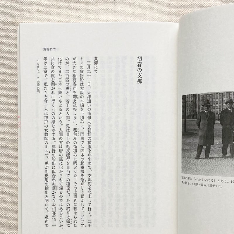 市河晴子紀行文集 欧米の隅々 | 曲線