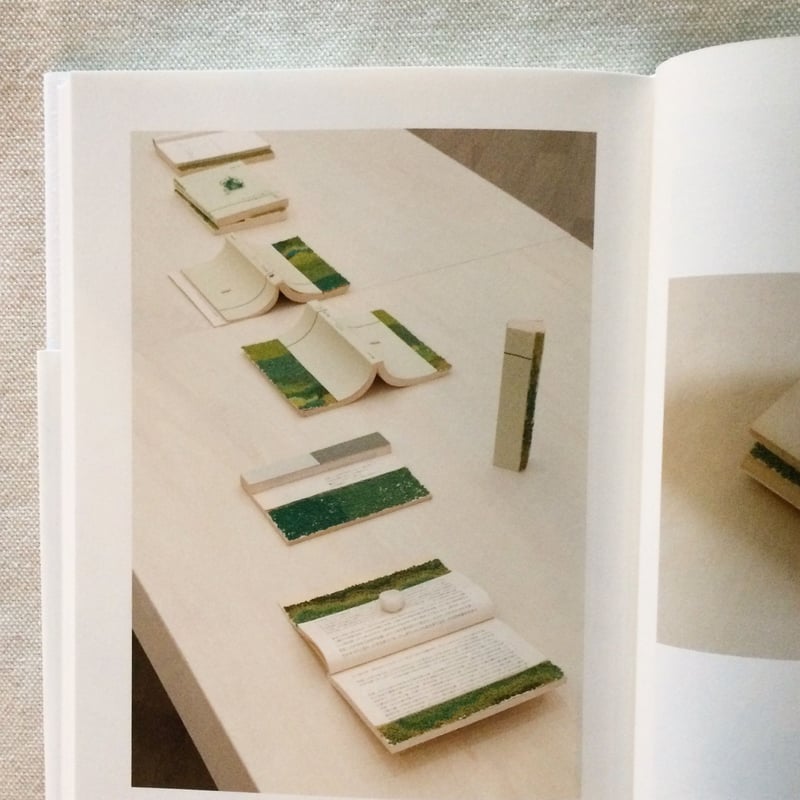 福田尚代｜ひかり埃のきみ | 曲線 