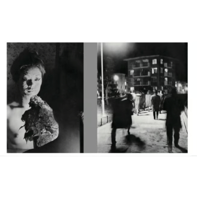 深瀬昌久｜遊戯 | 曲線