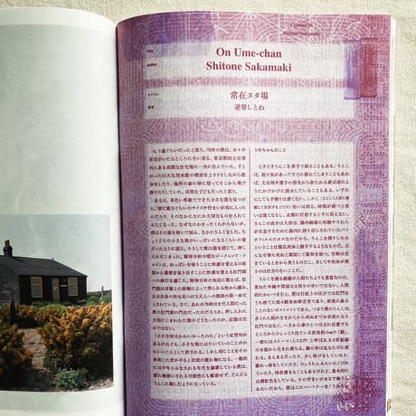 NEUTRAL COLORS ISSUE 6