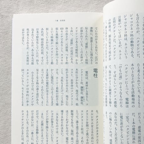 佐々木洋｜生きものハイウェイ