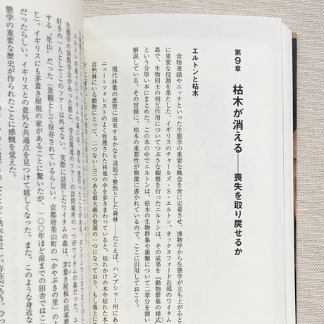 深澤遊｜枯木ワンダーランド