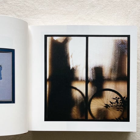 奥山由之｜windows