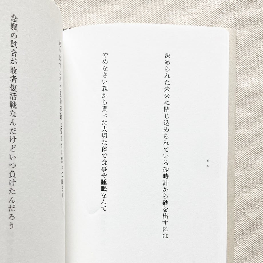 668256cb23e19002c46ddcd8