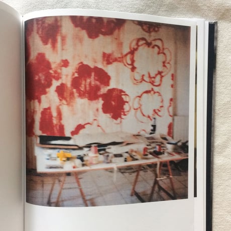 Cy Twombly｜LE TEMPS RETROUVÉ CY TWOMBLY PHOTOGRAPHE ET ARTISTES INVITÉS