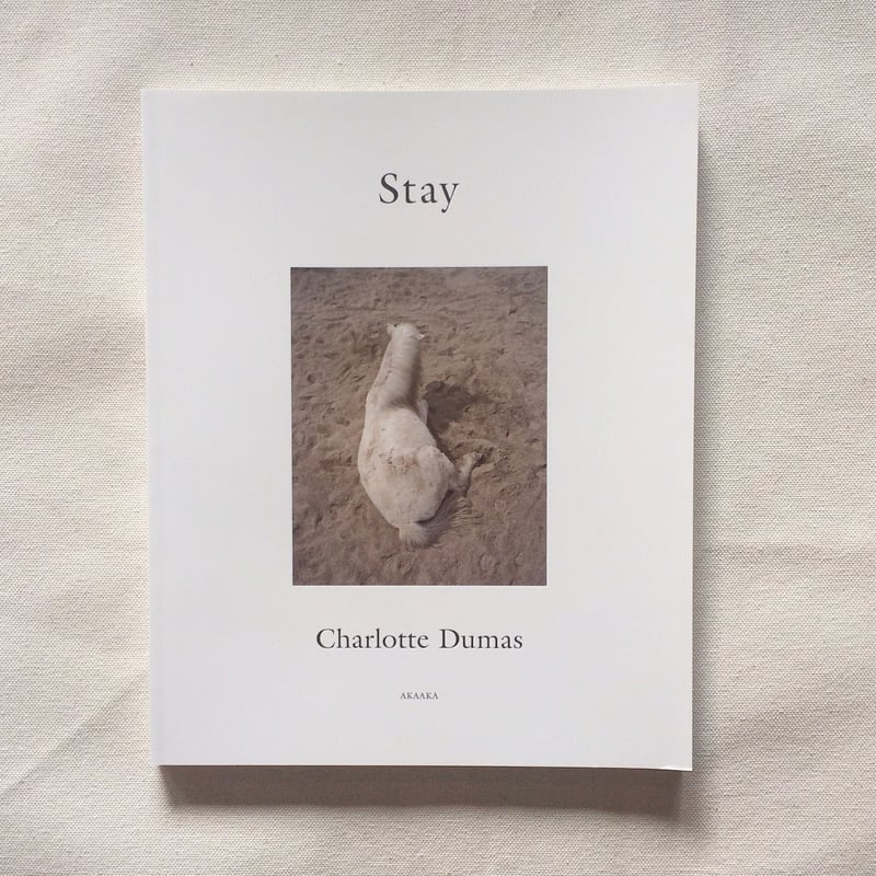 シャルロット・デュマ｜Stay | 曲線