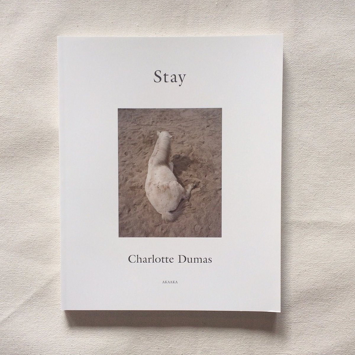 プリント Charlotte Dumas シャルロット・デュマ エルメス 写真