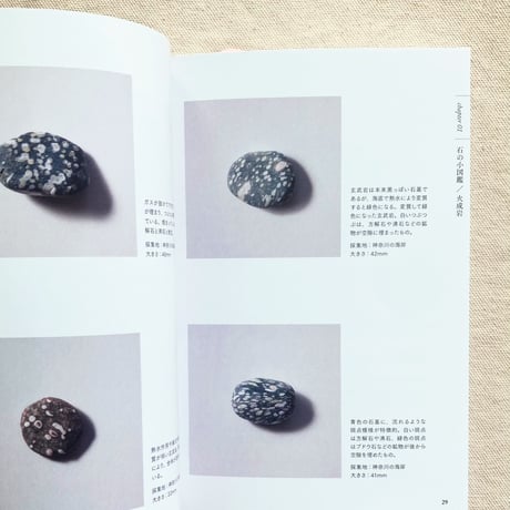 石の人｜海辺の石 〜小図鑑・見立て・石並べ〜