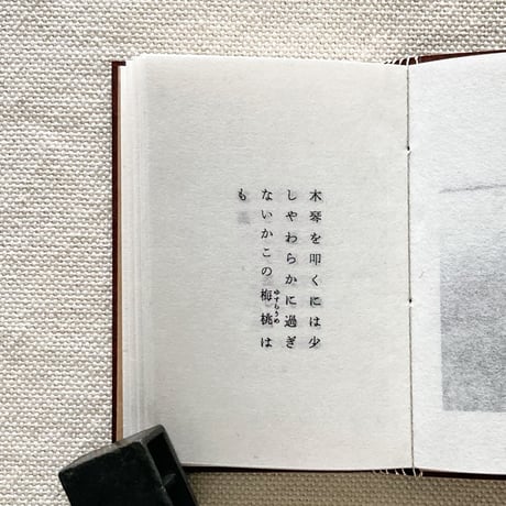 Rie Sato｜What I meant to say.