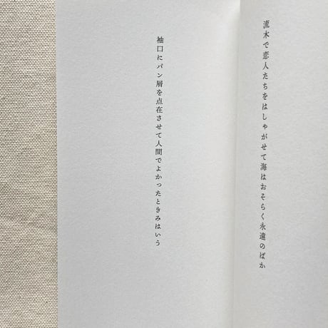 歌集 ここでのこと