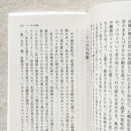 堀江敏幸｜オールドレンズの神のもとで
