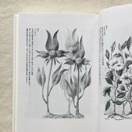 レオ・レオーニ｜平行植物