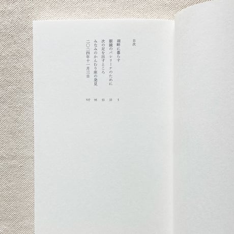 大崎清夏｜湖まで