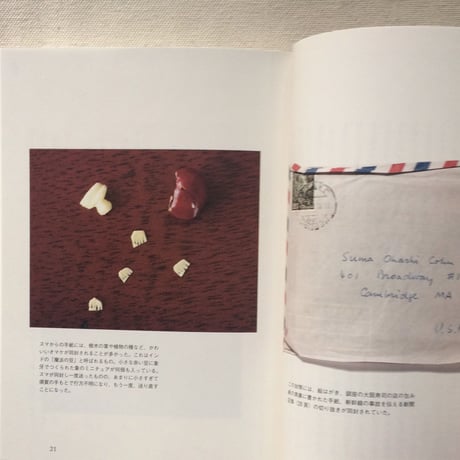 須賀敦子｜須賀敦子の手紙 1975−1997年 友人への55通