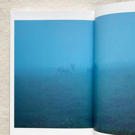 岡田敦｜エピタフ　幻の島、ユルリの光跡