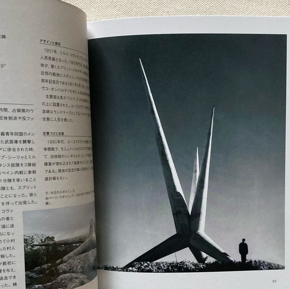 Donald Niebyl｜SPOMENIK | 曲線