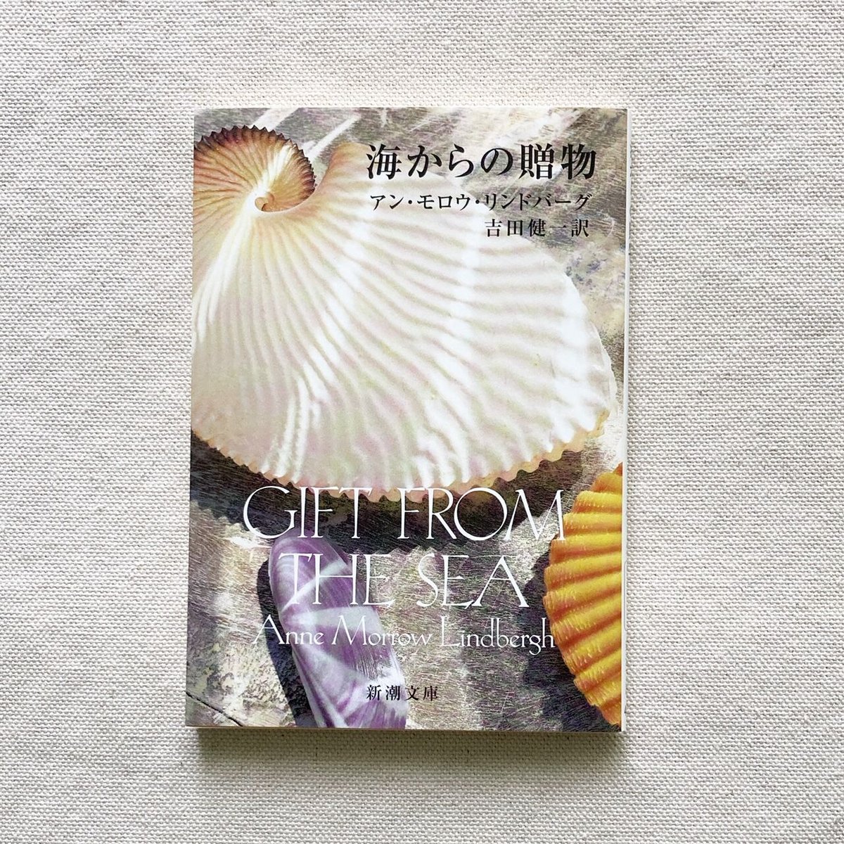 アン・モロウ・リンドバーグ｜海からの贈物 | 曲線