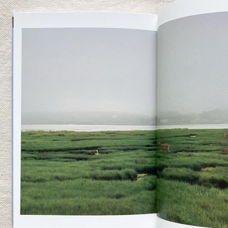 岡田敦｜エピタフ　幻の島、ユルリの光跡