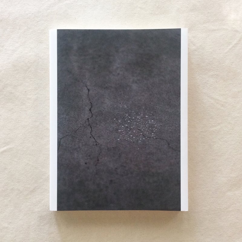 内藤礼　うつしあう創造　特装版 特装版】内藤礼｜うつしあう創造 | HeHe