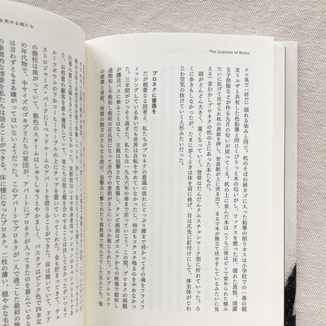 アレクサンダル・ヘモン｜ブルーノの問題