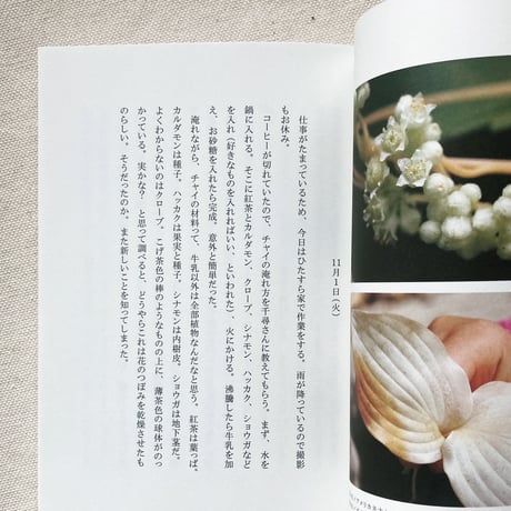 鈴木純｜冬の植物観察日記