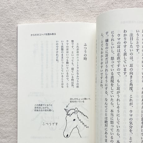 河田桟｜馬語手帖