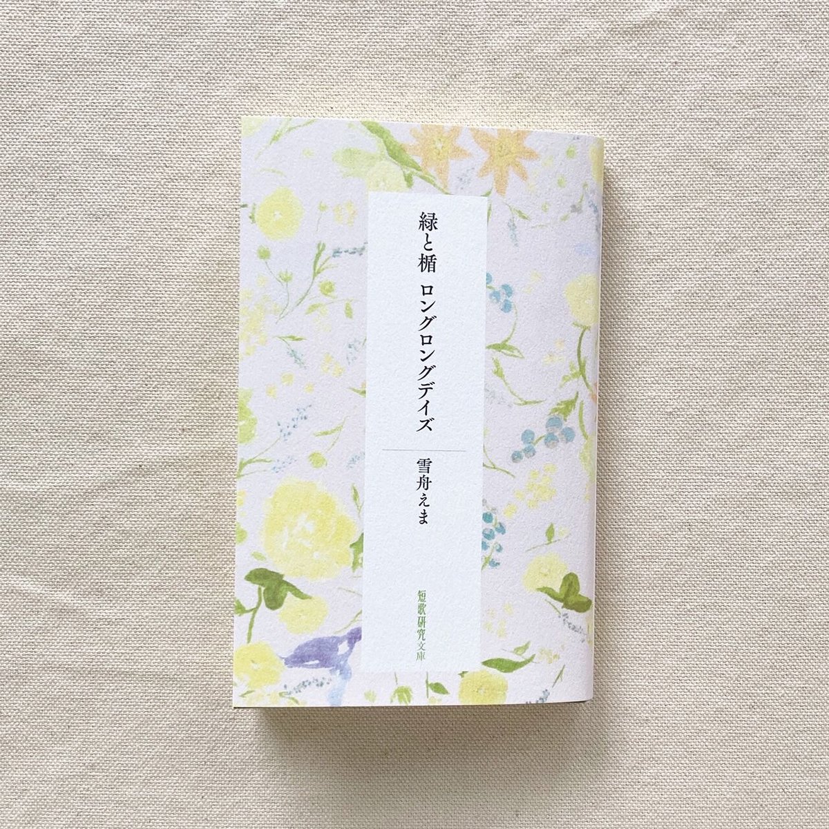 雪舟えま｜緑と楯 ロングロングデイズ | 曲線